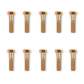 ( 1 Pack / 10 Pcs )Slewing Bearing Bolts for Mini Compact Excavator MEC17 (SKU: 150533, 150534）